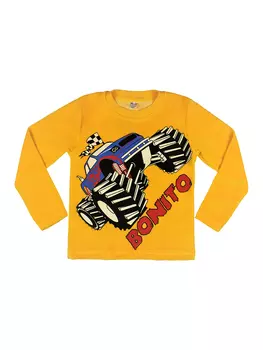 OP379.С2 Толстовка для мальчика