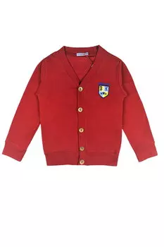 Шорты для мальчика