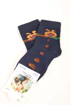 ДН-АС50.1.С5 Носки детские для мальчика 20-25 р-р