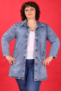 19-70 СИМАН 3351.С1 Блуза