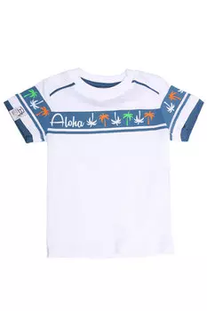 BK1388Vm.С1 Водолазка для мальчика