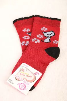 ДН-С-03.С4 Носки детские для девочки 22-25 р-р