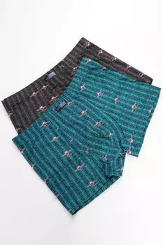 2А 9558.С2 Трусы женские коррекция