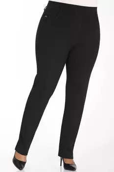 1В-53 9381.1.С1 Брюки утепленные