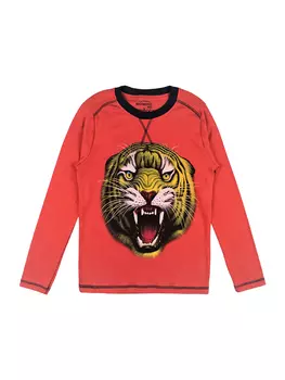 BK1366DJ.С1 Джемпер для мальчика