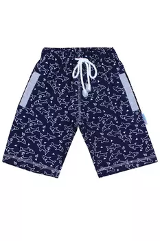 BK1311B.С8 Брюки для мальчика