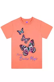 АНАСТАСИЯ 893.С1 Платье с поясом