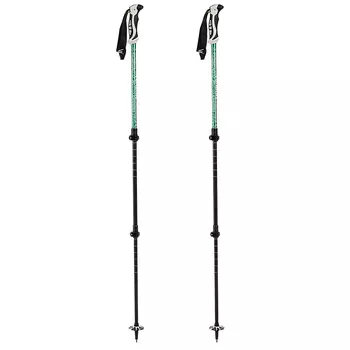 Палки горнолыжные GORAA