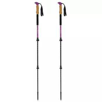 Палки треккинговые GORAA