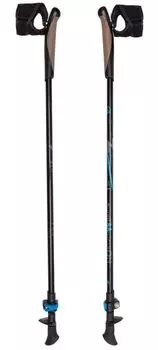 Палки треккинговые TERNUA