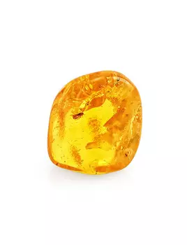 Сувенирный кусочек балтийского янтаря с инклюзом насекомого