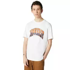 Converse Converse Twited Varsity Graphic Tee