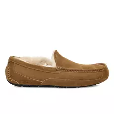 UGG Ascot