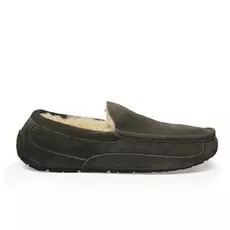 UGG Ascot
