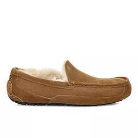 UGG Ascot