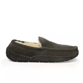 UGG Ascot
