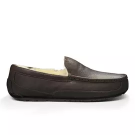 UGG Ascot