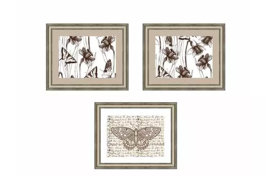 Набор постеров Коллекция Бабочки Ангстрем