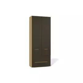 Шкаф Анри АН-200.09_02 Ангстрем