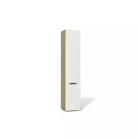 Шкаф Анри АН-210.01 Ангстрем