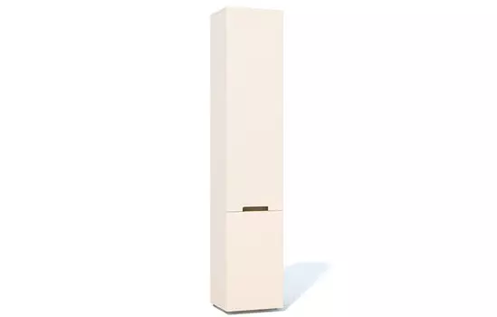 Шкаф Анри АН-210.01 Ангстрем