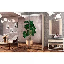 Шкаф-купе Fortune-19 1400_600/800 Ангстрем