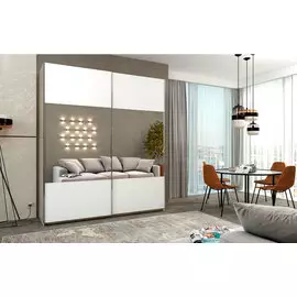 Шкаф-купе Fortune-4 1400_600/800 Ангстрем