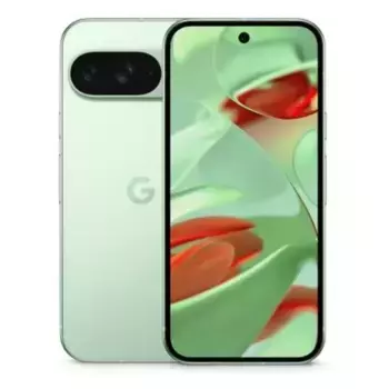 Google Pixel 9 5G 12/128Gb (Wintergreen)