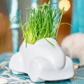 Экочеловеки Набор для выращивания Eco машина керамика 14x8 см белый