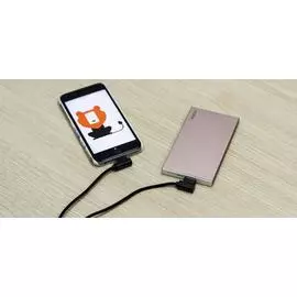 Кабель Rock Dual-end L-shape (USB) на (Lightning) 100см (черный)