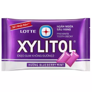 LОТТЕ Xylitol Резинка жевательная без сахара Черника-Мята 21 г