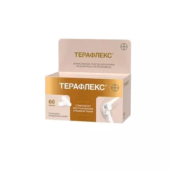 Терафлекс капсулы 60 шт