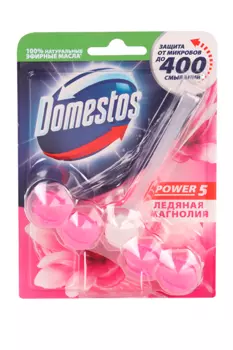 Блок туалет Domestos Ледяная Магнолия 55 г