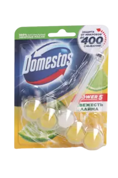 Блок туалет Domestos Свежесть лайма 55 г