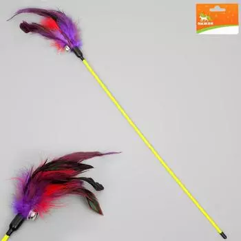 Дразнилка "Фазан", 50 см микс цветов