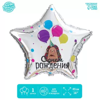 Фольгированный шар LETI 18 «С днем рождения», ежик, звезда