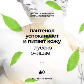 Гель для душа и ванны Roslin "Тонизирующий" 300 мл, мужской, с пантенолом, 1 шт.