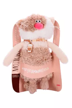 Игрушка Budi Basa Кофейный кот Латте мягкая 19 см (CCat19-10)