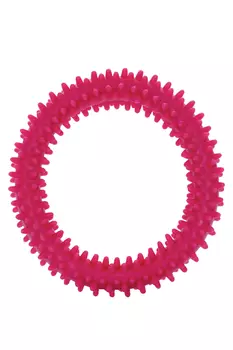 Игрушка Чистый котик д/собак кольцо с шипами 11.5 см красный