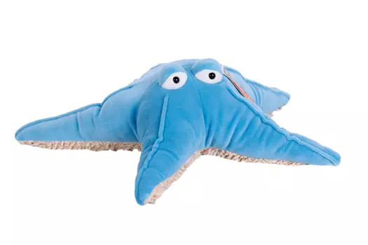 Игрушка Orange Toys Звезда голубая 35 см