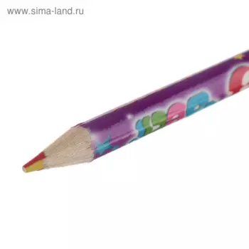 Карандаш Calligrata многоцветный, заточенный 50 шт