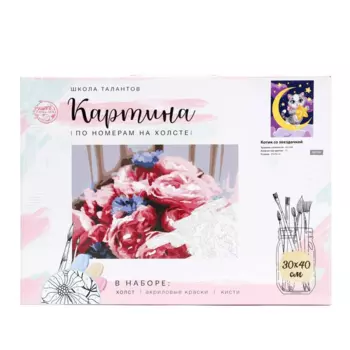 Картина по номерам Школа талантов на холсте с подрамником Котик со звездочкой 30х40 см