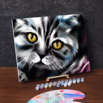 Картина по номерам Школа талантов на холсте с подрамником Котик 40х50 см