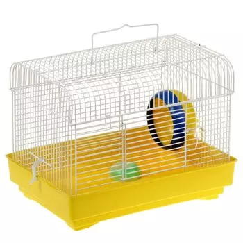 Клетка для грызунов (колесо+миска), 32 х 22,5 х 23 см, микс