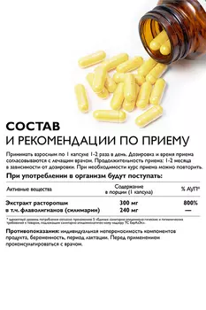 Комплексная пищевая добавка DR. ZUBAREVA Расторопша Гептофлекс Силимарин, 60 капсул