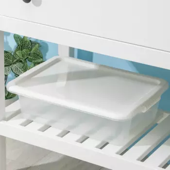 Контейнер д/хранения BEROSSI с крышкой Porter 41х31х11 см цвет слоновая кость 8 л