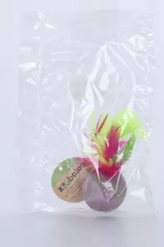 Мяч Зообалу шерстяной фьюжн с пером фиолетово-зеленый