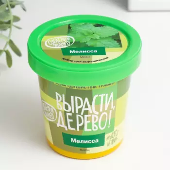 Набор д/выращивания растений Вырасти, Дерево! Мелисса
