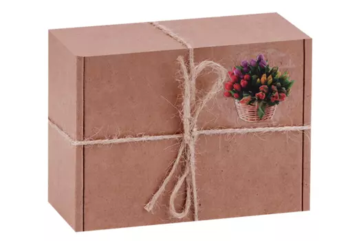 Набор DolphinCoco №4 мини-версии какао скраб/масло ши с апельсином