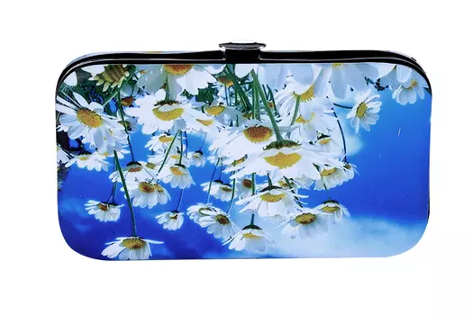 Набор маникюрный Queen fair 6 предметов в футляре